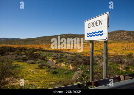 Seasonal Green river (Groenrivier) at Garies in Namaqualand on N7 amidst masses of wild flowers. Stock Photo