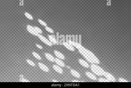 Abstract shadow overlay with natural light and sunbeams on the wall. Stock Vector