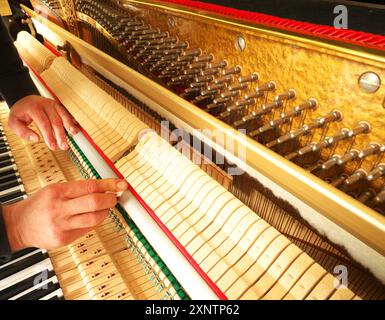 Photo of a tuner taken in his workshop during his working hours Stock Photo