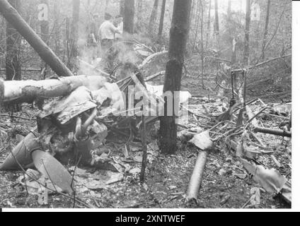 Just a pile of rubble. A small plane crashed in a wooded area near Schönhagen. Airplane. Crash. Disaster. Photo: MAZ/Margit Hahn, 07.07.1997 [automated translation] Stock Photo