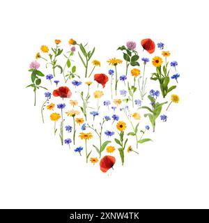Heart made of meadow flowers on white gradient background Stock Photo