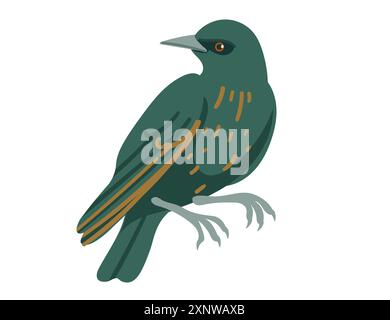 Cute starling bird. Cartoon animal design, stylized bird with dark green feathers and light spots. Vector illustration isolated on white background. Stock Vector