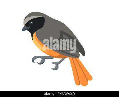 Cute common redstart bird in resting position. Cartoon animal design, stylized bird with grey and orange feathers. Vector illustration isolated on whi Stock Vector