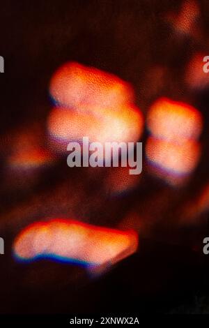 Colorful refracted sunlight through stained glass window illuminates expensive leather chair Stock Photo