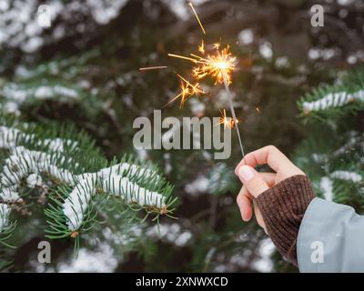 Woman celebrates Christmas or New Year with bright sparkler. Bengal fire on fir tree background. Traditional firework for winter holiday celebration o Stock Photo