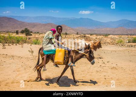 Boy and girl riding on a donkey to a waterhole in the lowlands of Eritrea, Africa Copyright: MichaelxRunkel 1184-12027 Editorial Use Only Stock Photo