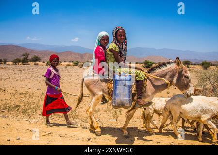 Children riding on a donkey to a waterhole in the lowlands of Eritrea, Africa Copyright: MichaelxRunkel 1184-12031 Editorial Use Only Stock Photo