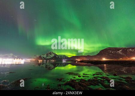 Northern lights (Aaurora borealis) on snowy mountains reflecting in the calm water of the fjord in the Arctic landscape, Vestvagoy Stock Photo