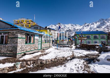 Kyanjin Gompa, Langtang Valley trek, Himalayas, Nepal, Asia Stock Photo