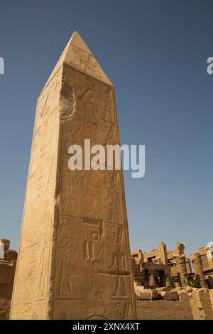 Obelisk of Queen Hatshepsut, Karnak Temple Complex, UNESCO World Heritage Site, Luxor, Egypt, North Africa, Africa Stock Photo