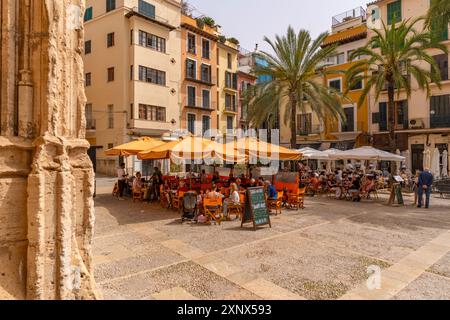 View of cafe in Placa de la Llotja, Palma de Mallorca, Majorca, Balearic Islands, Spain, Mediterranean, Europe Stock Photo