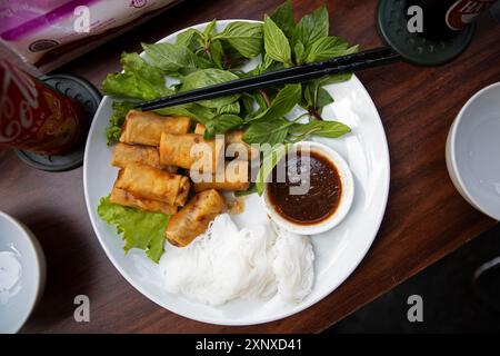 Vietnamese spring rolls, traditional dish in Vietnam Stock Photo