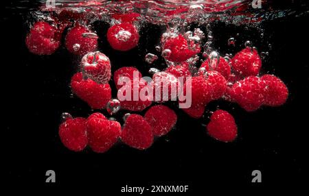 Raspberries falling into water isolated on black background. Raspberries theme Stock Photo