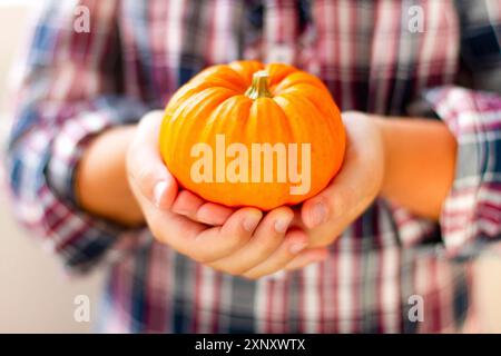 Crop female in casual checkered shirt holding orange mini pumpkin in hands Stock Photo