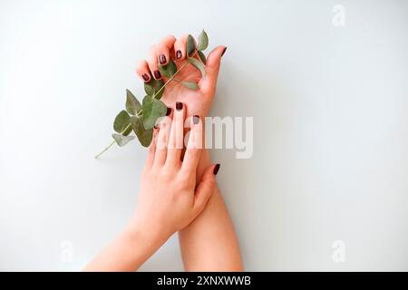Top view of crop anonymous female holding fresh green plant over blue background Stock Photo