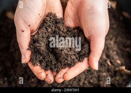 Women holding biological plant soil in her two hands on top of a plant pot on the balcony, high angle view Stock Photo