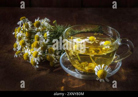 Herbal tea cup and daisy medicinal herbs bunches on wooden board Stock Photo