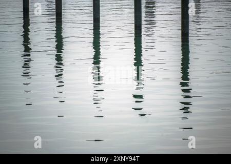 Black mooring piles or dolphins with reflection in the water in an empty yacht marina on the Baltic Sea on a gray November day, abstract image Stock Photo