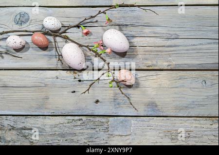 Natural colored Easter eggs and a branch with few flowers on a rustic gray wooden background, copy space, high angel view from above, selected focus Stock Photo