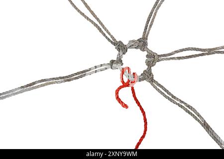 Rustic ropes join together in a knotted ring, one of them in red has a loose end, concept between cohesion, individualism and burnout, isolated on a Stock Photo