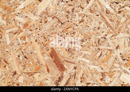 texture of wooden surface of pressed chips and sawdust, background Stock Photo