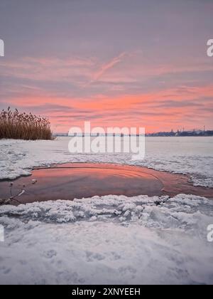 Pink winter sunset over the frozen lake in a snowy day Stock Photo