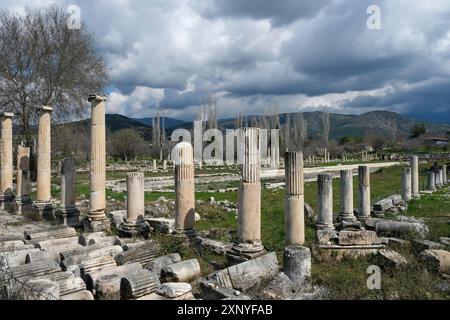 Excavation site site of the ancient city of Aphrodisias, today's city of Geyre, Karacasu, Aydin, Western Turkey, Turkey Stock Photo