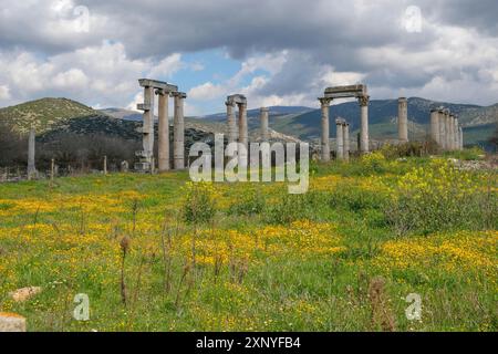 Excavation site site of the ancient city of Aphrodisias, today's city of Geyre, Karacasu, Aydin, Western Turkey, Turkey Stock Photo