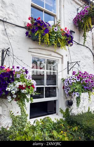 Several colorful hanging flower baskets adorn the white, stone wall of an old building in England. Stock Photo