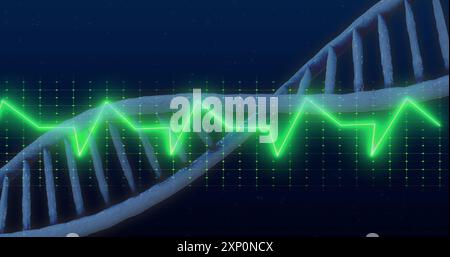 DNA strand with green heartbeat image over grid background Stock Photo
