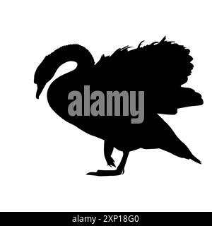 Swan silhouette. Lonely single waterfowl resting on lake shore.White swan mute stands on paws.Wildlife cygnus.Design for fauna, biology or ornithology Stock Vector