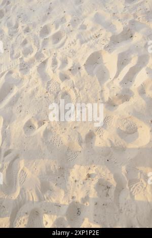A vertical shot of the numerous footprints on the sandy beach near the water on a sunny day Stock Photo