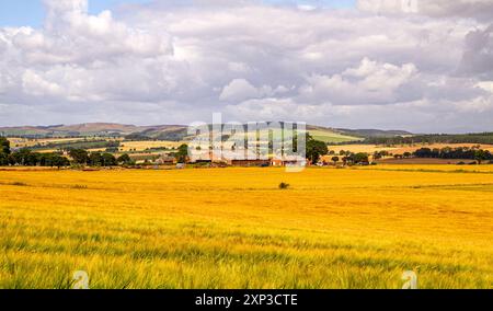 Dundee, Tayside, Scotland, UK. 3rd Aug, 2024. UK Weather: Bright August summer weather displaying lovely views across the Strathmore Valley with rain clouds over the Sidlaw Hills in Dundee, Scotland. Credit: Dundee Photographics/Alamy Live News Stock Photo