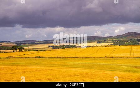 Dundee, Tayside, Scotland, UK. 3rd Aug, 2024. UK Weather: Bright August summer weather displaying lovely views across the Strathmore Valley with rain clouds over the Sidlaw Hills in Dundee, Scotland. Credit: Dundee Photographics/Alamy Live News Stock Photo