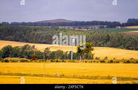 Dundee, Tayside, Scotland, UK. 3rd Aug, 2024. UK Weather: Bright August summer weather displaying lovely views across the Strathmore Valley with rain clouds over the Sidlaw Hills in Dundee, Scotland. Credit: Dundee Photographics/Alamy Live News Stock Photo