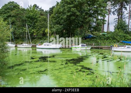 Antrim, Northern Ireland - August 3rd 2024: Heavily discoloured river at entrance to Lough Neagh, raising concerns about presence of Blue Green algae. Stock Photo