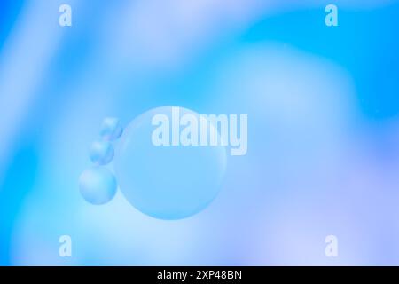 defocused gradient in blue tones. Beautiful oil bubbles. Delicate background for advertising cosmetic products. Macro photo of oil drops on the surfac Stock Photo