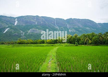 Kollengode Village with Nelliyampathy Mountains and Seetharkundu Waterfalls - Kerala Tourism Stock Photo