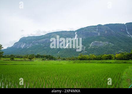 Kollengode Village with Nelliyampathy Mountains and Seetharkundu Waterfalls - Kerala Tourism Stock Photo