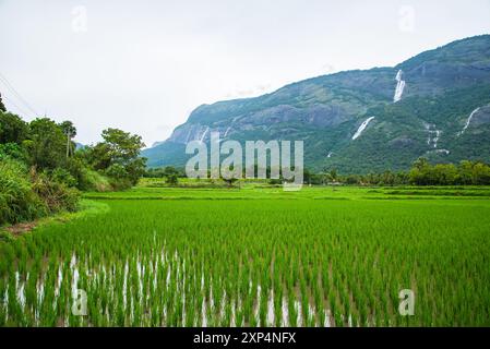 Kollengode Village with Nelliyampathy Mountains and Seetharkundu Waterfalls - Kerala Tourism Stock Photo