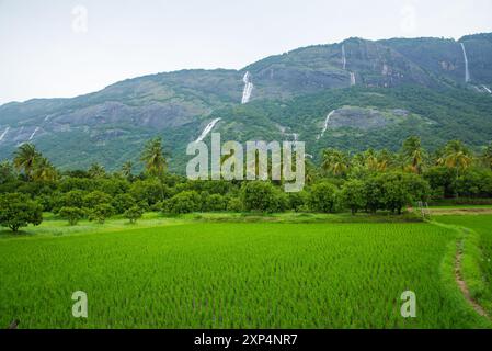 Kollengode Village with Nelliyampathy Mountains and Seetharkundu Waterfalls - Kerala Tourism Stock Photo