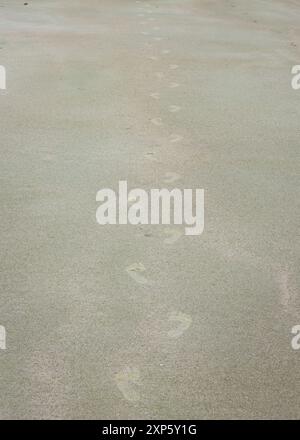 Close-Up of Footprints in the Sand on a Beach Stock Photo