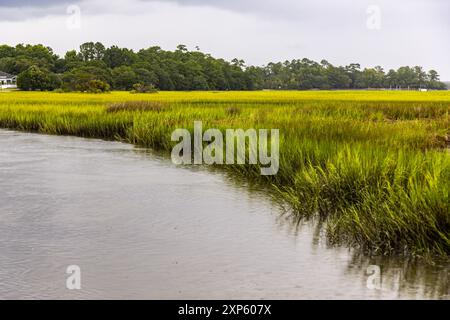 Tall Grass Along South Carolina Wetland Coastal Landscape Stock Photo