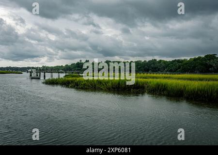 Tall Grass Along South Carolina Wetland Coastal Landscape Stock Photo