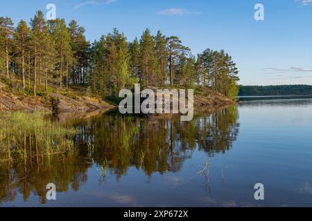 The shore of Koyonsaari island on a warm June evening. Karelia, Russia Stock Photo