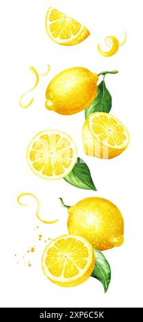 Falling fresh sweet Lemon fruits. Hand drawn watercolor illustration isolated on white background Stock Photo