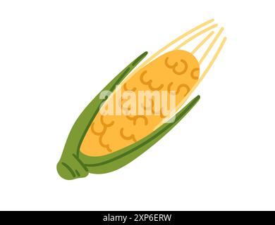 Fresh corn cob with green husk. Sweet Corn healthy food. Ideal for agricultural or culinary book. Vector illustration isolated on white background. Stock Vector