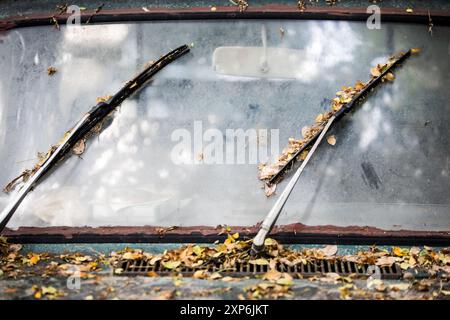Front view of an abandoned green car, fallen dry leaves on windscreen wiper, sunlight shines onto dirty windshield. Stock Photo
