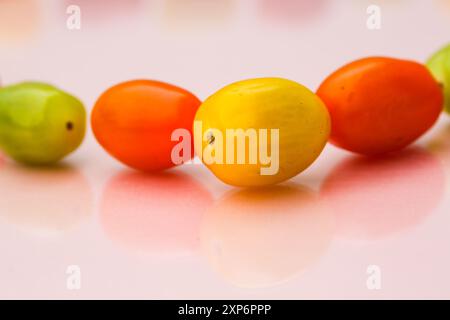 Cocktail tomatoes in different colors, red, orange, green, yellow on pastel background Stock Photo