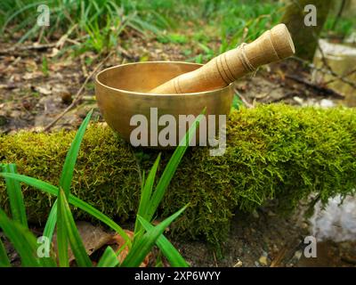 Metal singing bowl for relaxing and receiving healing vibrations Stock Photo